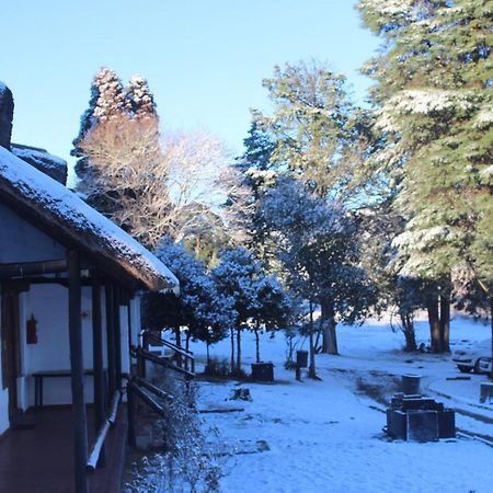 ホテル Drakensberg White Mountain Backpackers エストコート エクステリア 写真