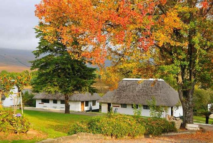 ホテル Drakensberg White Mountain Backpackers エストコート エクステリア 写真